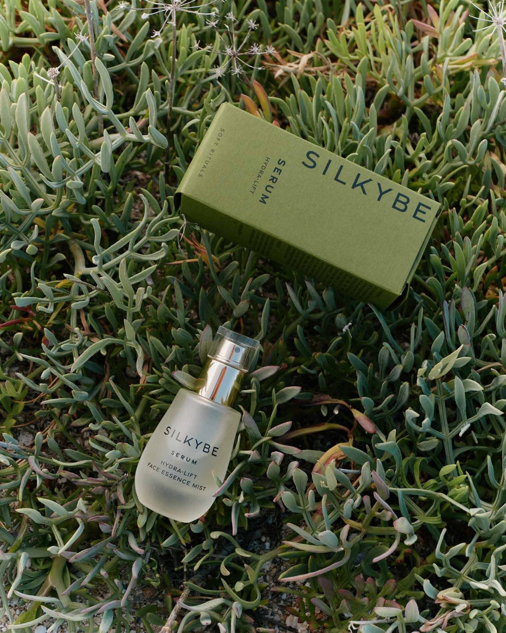 Serum Hydra-Lift Silkybe con la sua confezione verde tra le piante grasse